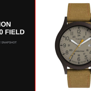 Timex Expedition Scout 40 review — Best Watch Picks